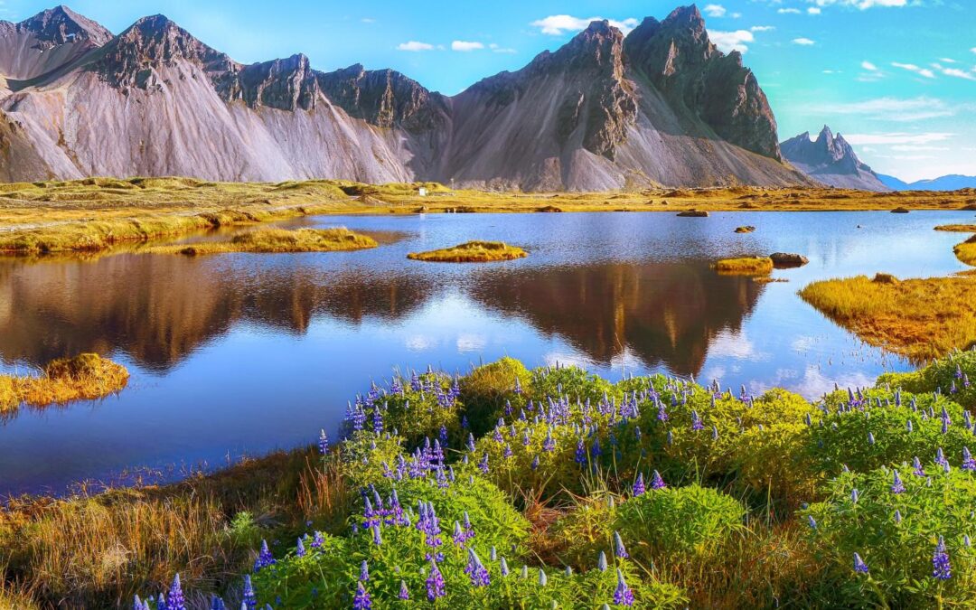 Join Us For A Private  Irish Music Cruise Adventure in Iceland!  508 938 9463 Not Much Space Left